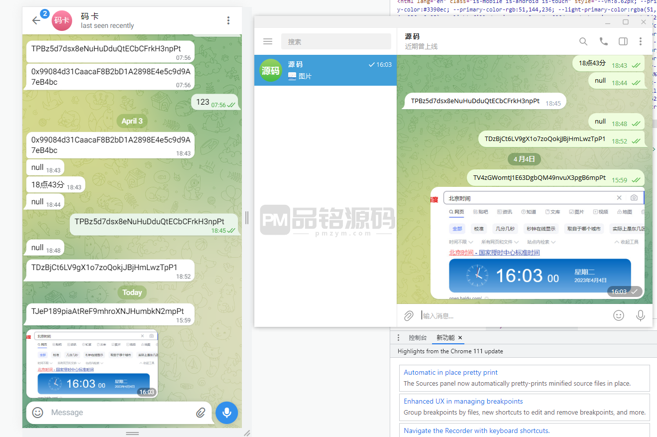 中文版telegram源码 | 钱包地址自动生成|安卓苹果PC端|假飞机系统