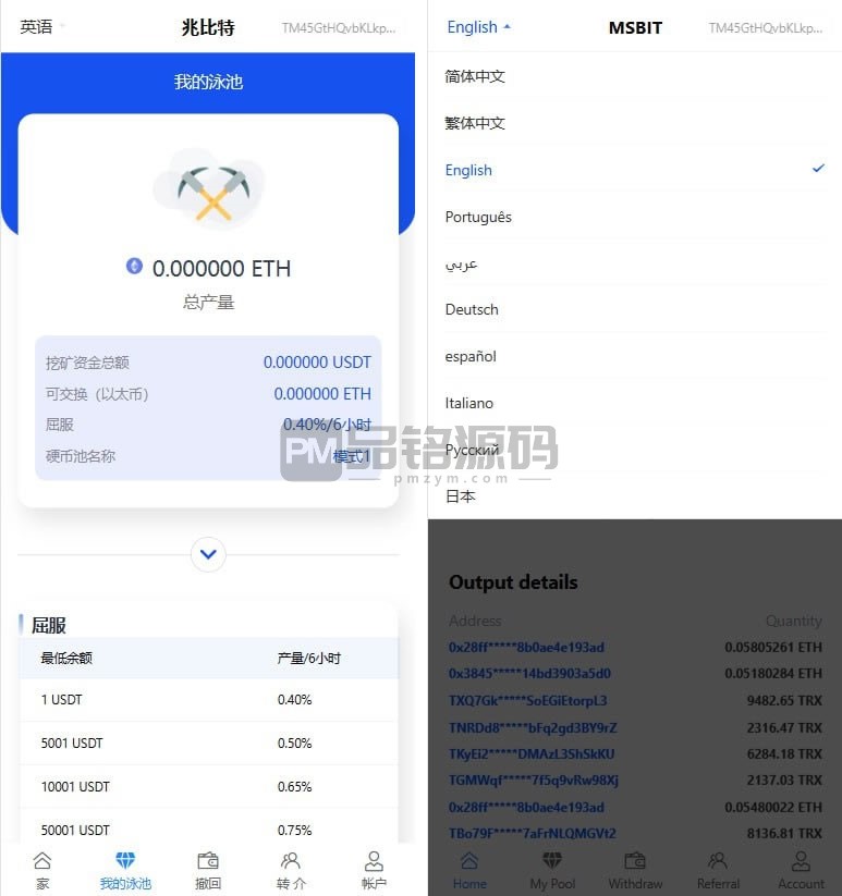 多语言虚拟币盗U源码：USDT秒U挖矿授权系统二开