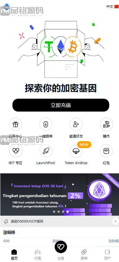 区块跟单交易所源码 | 币币交易所源码|IEO打新|跟单带单区块链交易所