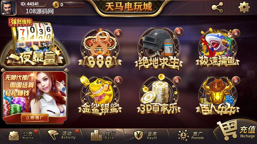 网狐内核一夜暴富天马电玩棋牌娱乐全套源码