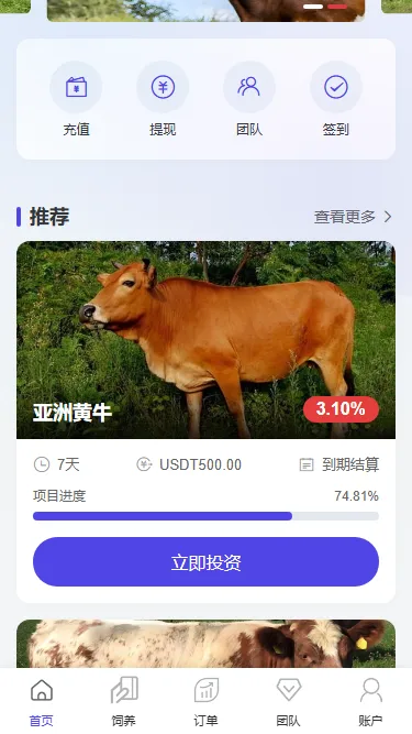 2026最新多语言养牛投资理财系统源码VUE | PHP认养返利平台