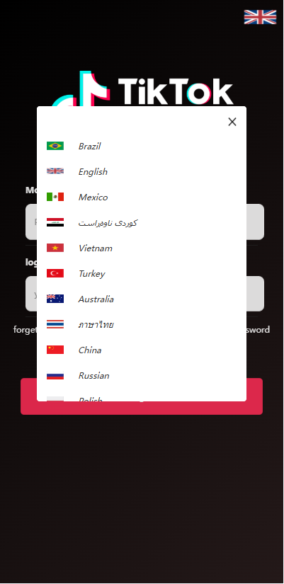 海外TIKTOK抢单任务系统/国际化订单任务系统/打针重置全开源源码