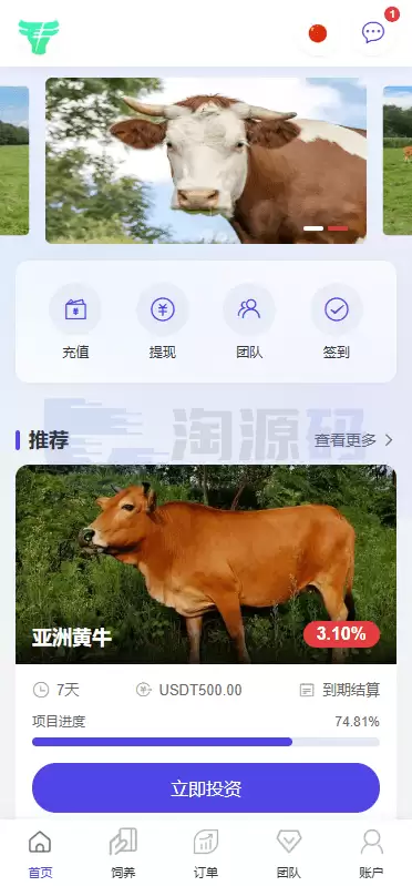多语种养殖投资系统源码,养牛投资返利,养牛资金盘,前端VUE后端PHP可商用开源带带搭建文档
