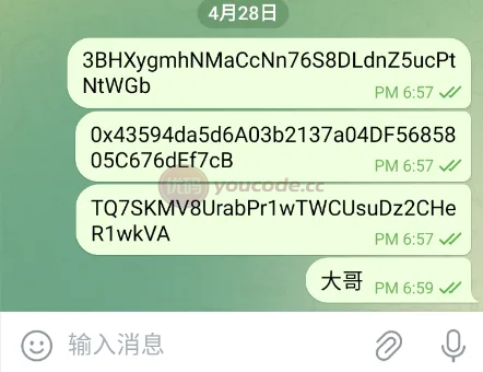 2026款精仿新版假飞机假TG源码/以及快速建站含教程
